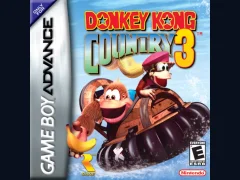 Donkey Kong Country 3 cover art