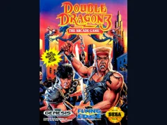 Double Dragon 3: The Arcade Game cover art