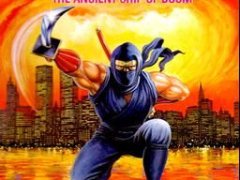 Ninja Gaiden 3: The Ancient Ship of Doom cover art