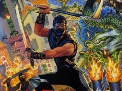 Ninja Gaiden cover art