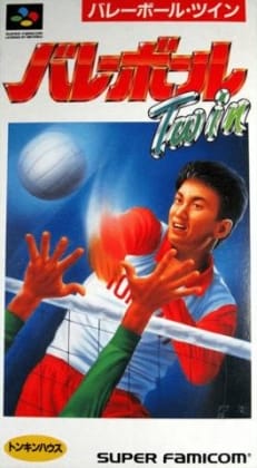 Volleyball Twin cover art