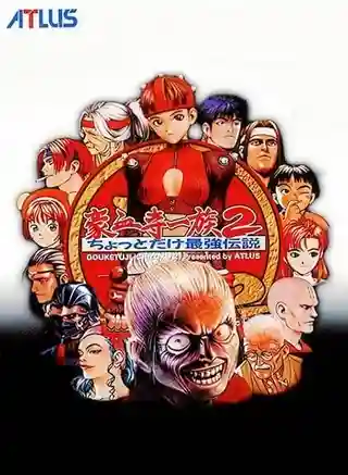 Power Instinct 2 cover art