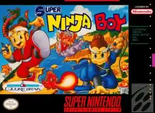 Super Ninja Boy cover art
