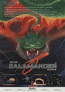 Salamander cover art