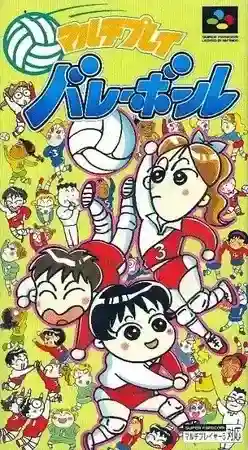 Multi Play Volleyball cover art