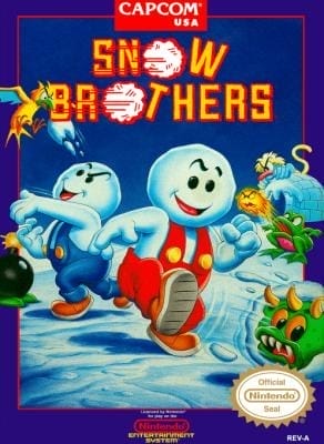 Snow Brothers cover art