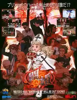Power Instinct cover art