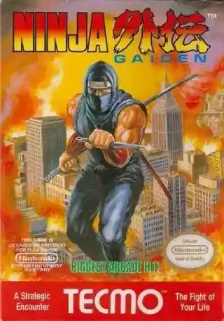 Ninja Gaiden cover art