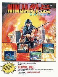 Ninja Gaiden cover art