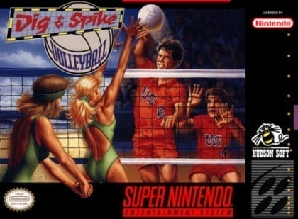Dig & Spike Volleyball cover art