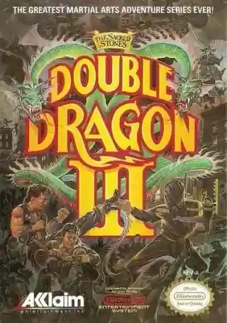 Double Dragon III: The Sacred Stones cover art
