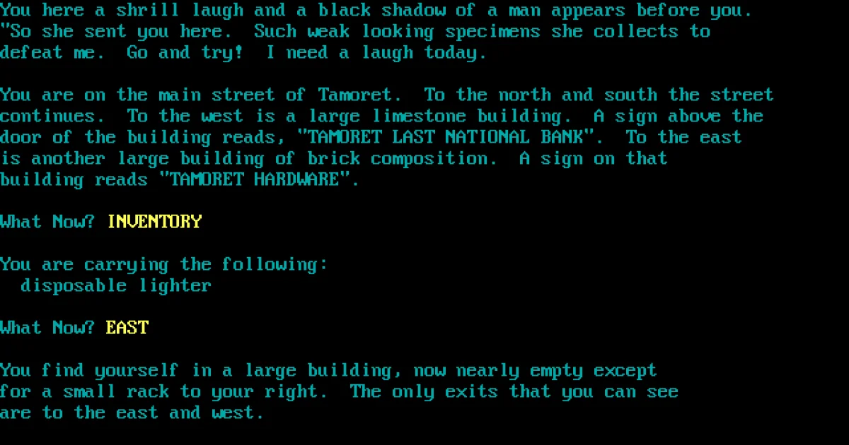 Tamoret: The Adventure to the Fourth Dimension cover art