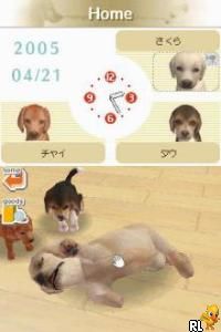 Nintendogs - Chihuahua & Friends (Japan) cover art