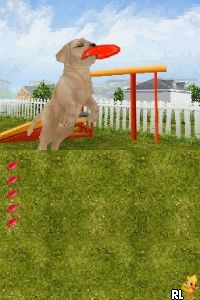 Petz - Dogz Talent Show (Europe) (En,Fr,De,Es,It) cover art