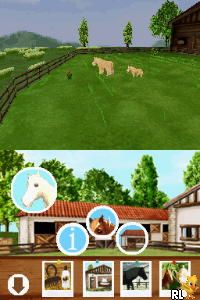 My Pet Pony (Europe) (En,Fr,De,Es,It) cover art