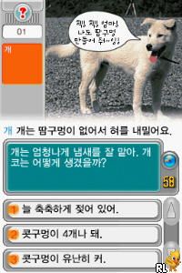 MagicQ DS (Korea) cover art