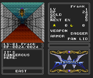 Double Dungeons - W (USA) cover art